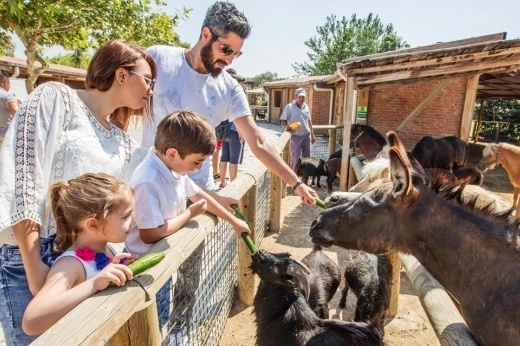 İzmir’de çocuklarla beraber yapılabilecek aktiviteler