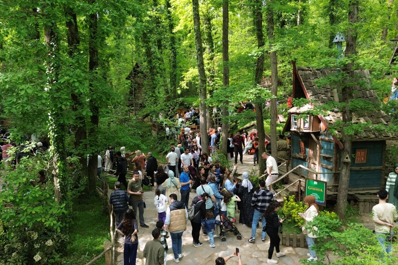 Avrupa'nın en büyük doğal yaşam parkı Ormanya’da uzun kuyruklar oluştu