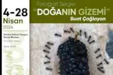 Doğa’nın Gizemi sizlerle!