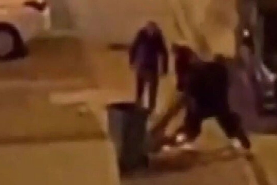 Kayseri'de şaşırtan olay! Kaldırımdaki ağacı söktüler haberinin görseli