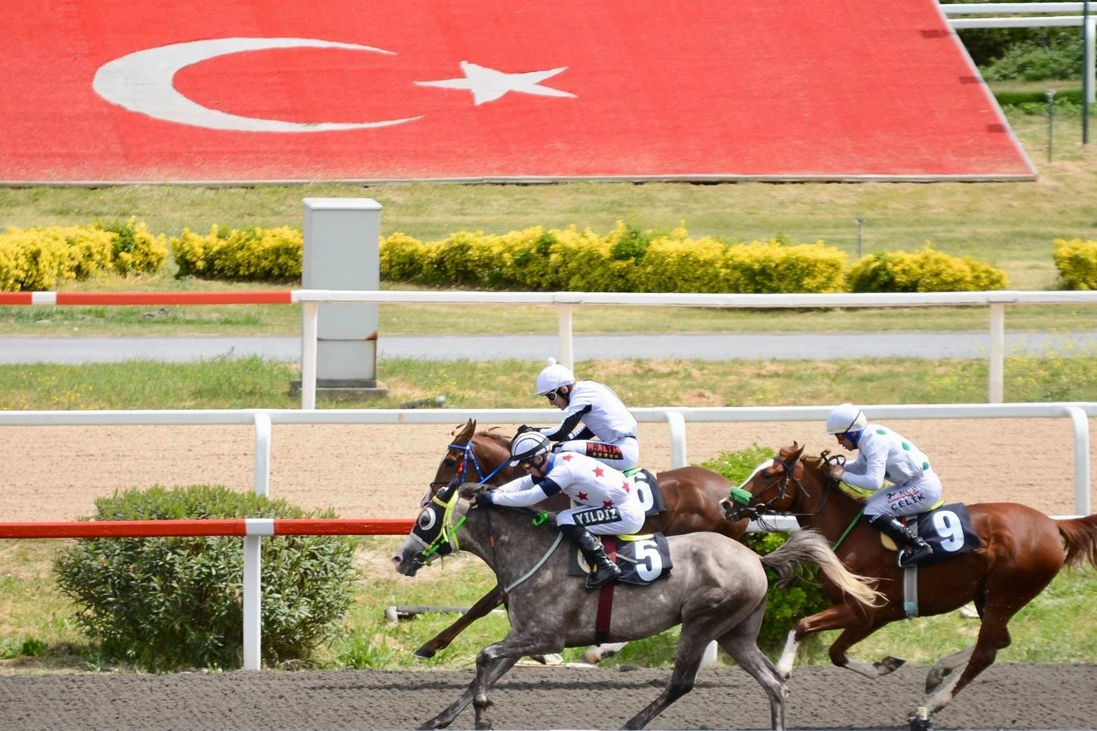 Yarış severlerin merakla beklediği Veliefendi heyecanı başlıyor