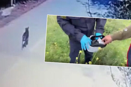 Sakarya’da ilginç bir hırsızlık olayı! Altın dolu çantayı… haberinin görseli
