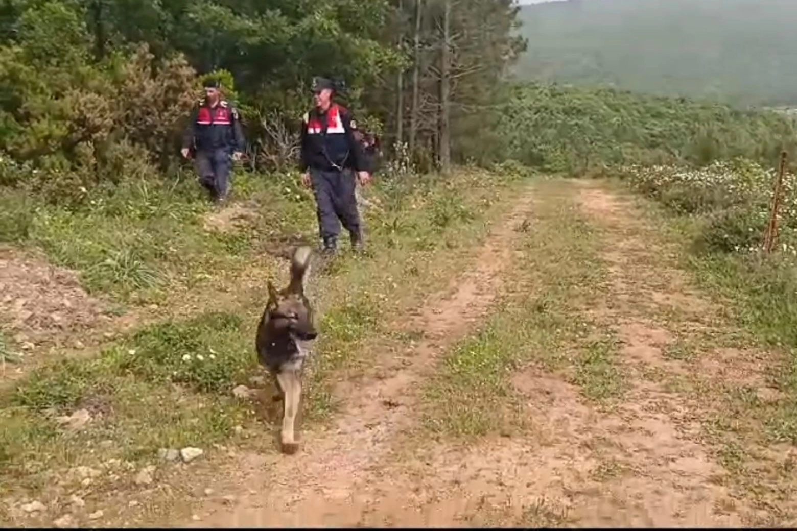 Korhan Berzeg’i arama çalışmalarında yeni gelişme: Bir kemik parçası daha bulundu