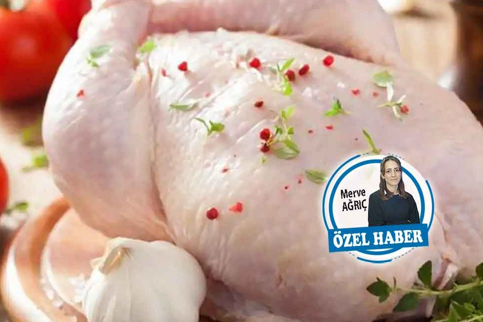 Tavuk etinde ihracatın engellenmesi üretimi azaltacak mı? haberinin görseli