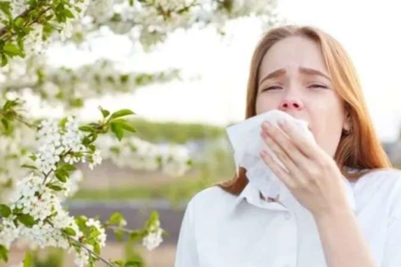 Polen alerjisi olanlar dikkat! Uzmanı açıkladı: Bu saatlere dikkat edin haberinin görseli