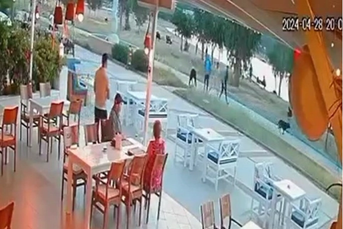 Aydın'da sokak köpeği çocuğa saldırdı haberinin görseli