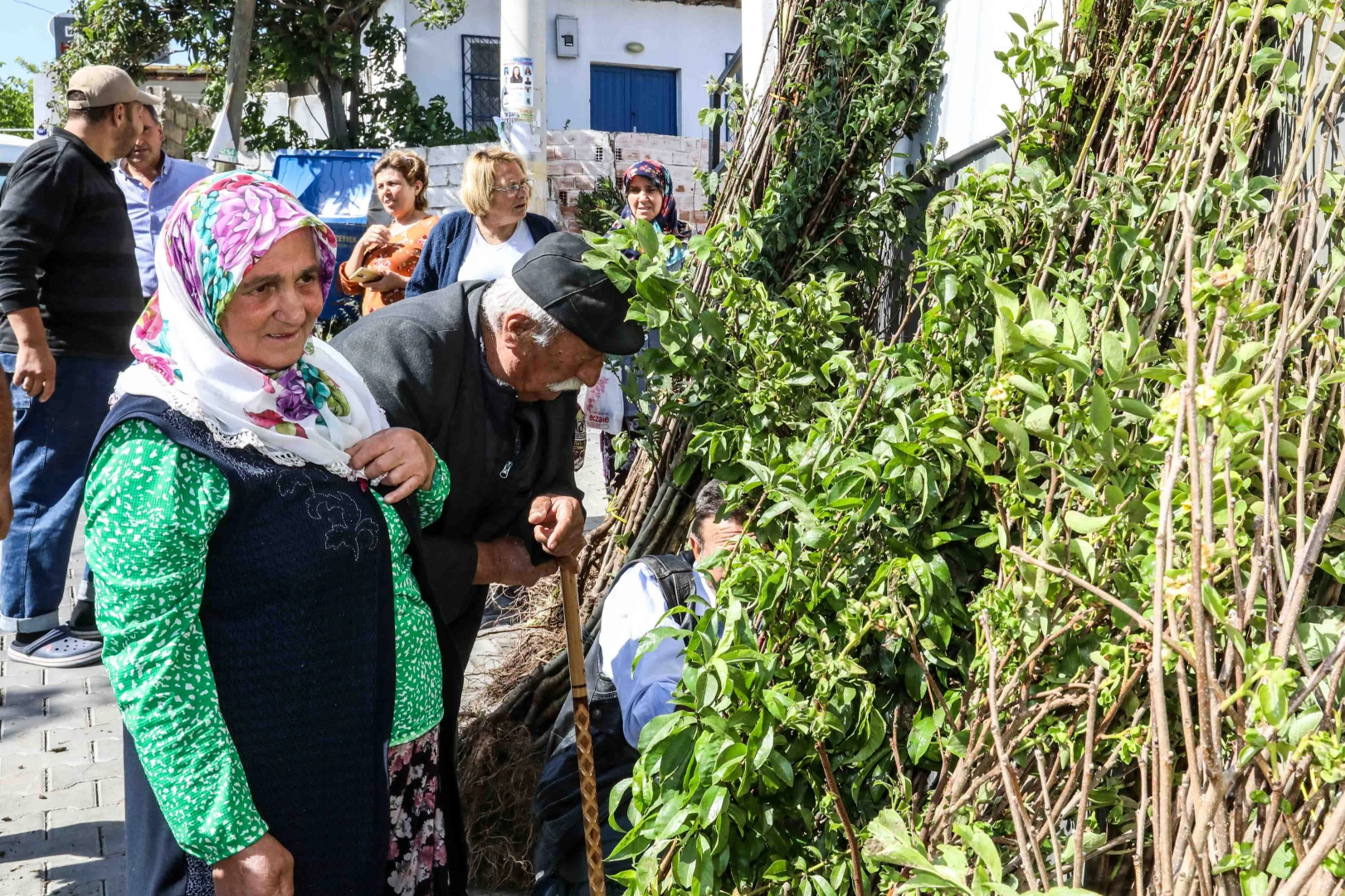 Buca Belediyesi’nden üreticiye fidan desteği