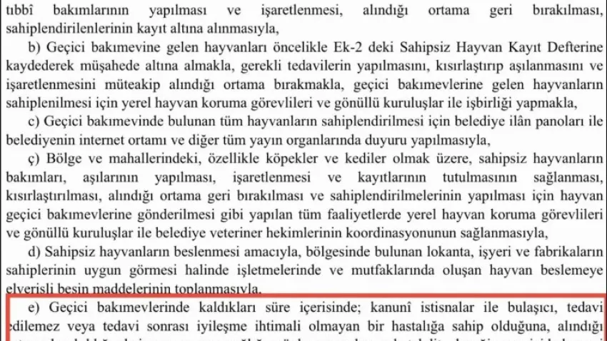 sokak hayvanı