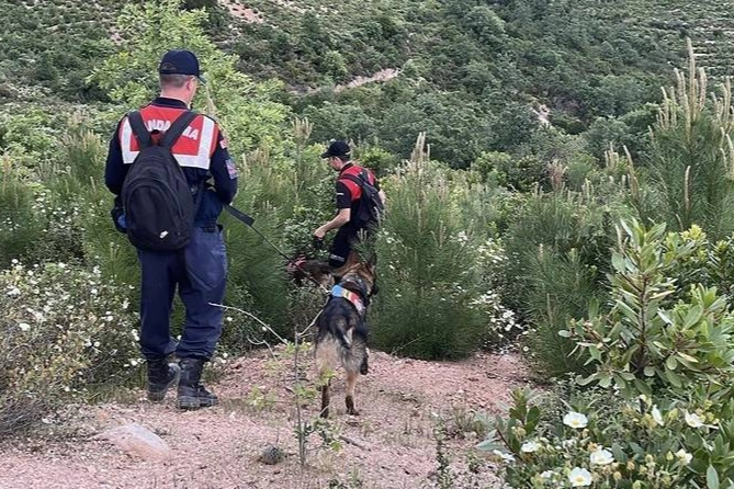 Korhan Berzeg'in sır ölümün ardından sırtlanlar mı çıktı?