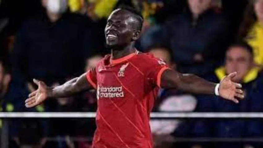 mane