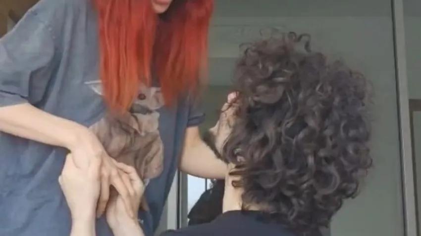 lösemi