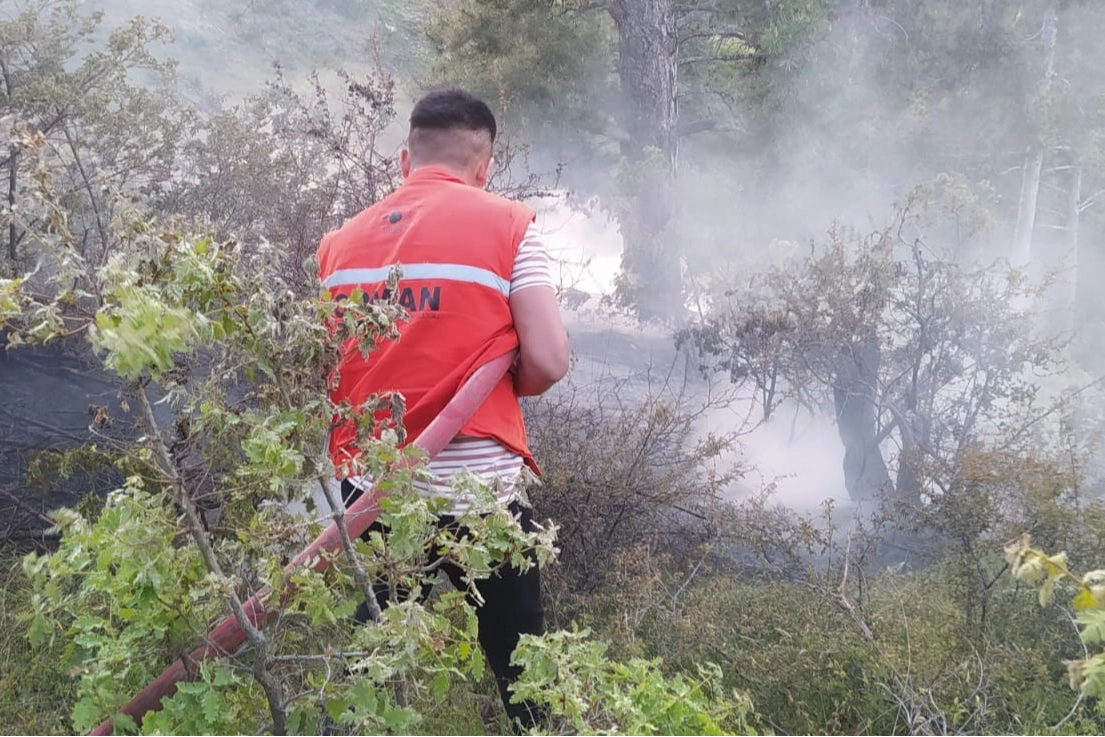 Manisa'da orman yangını büyümeden önlendi haberinin görseli