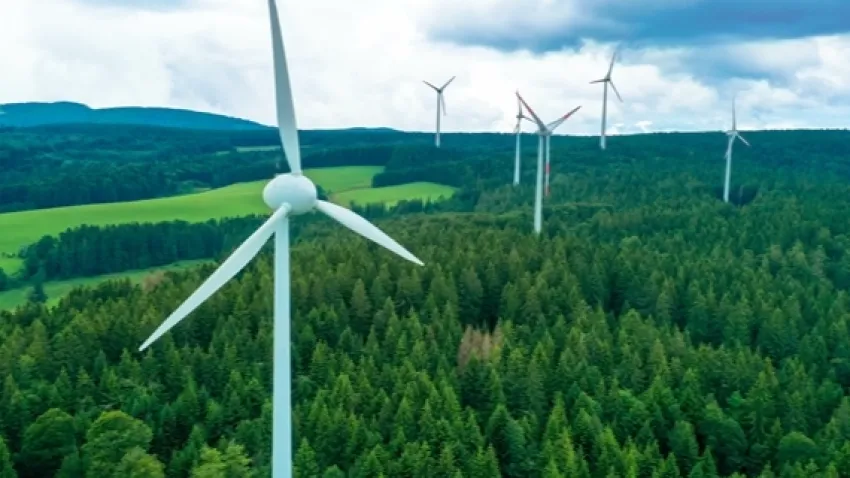 Acele kamulaştırılmıştı: Örlemiş’in ‘orman’ projesi için gözler bakanlıkta!