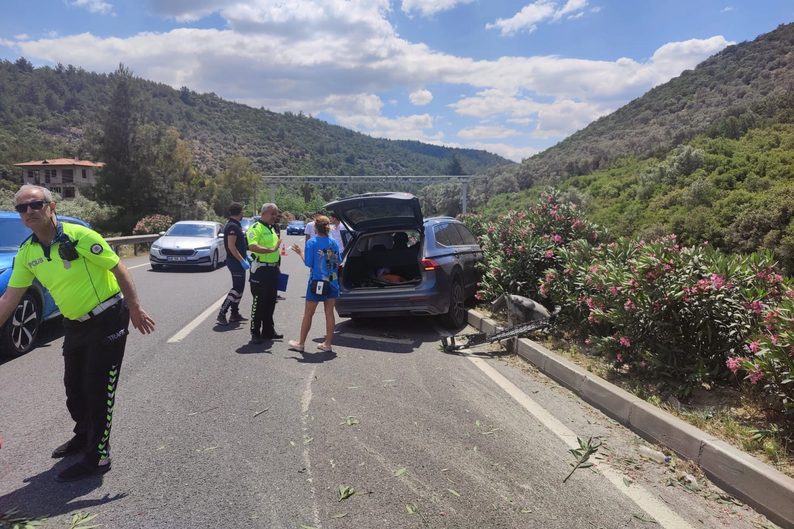 Muğla'da kaza: Otomobilin çarptığı köpek telef oldu haberinin görseli