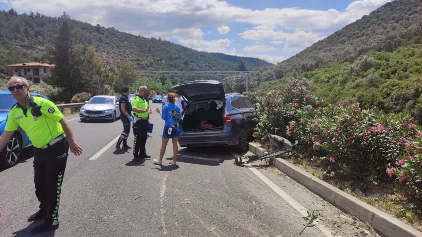 Muğla'da kaza: Otomobilin çarptığı köpek telef oldu haberinin görseli