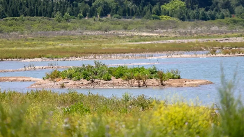 İzmir haber: Düzensiz yağışlar barajların bazılarını doldurdu bazıları boş kaldı