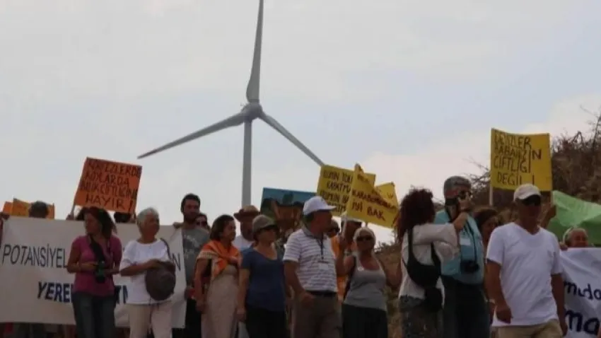 Mahkeme iptal etmişti: Zeytinliklerin kaderi yeniden bakanlık masasında