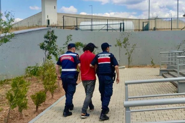 Muğla'da jandarmadan kaçak kazı baskını haberinin görseli