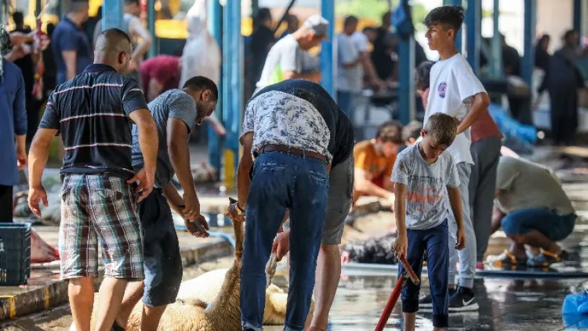 KURBAN KESİMİNDE CEZALARA ZAM 