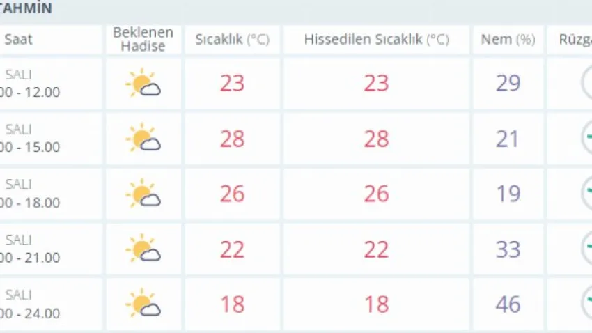 aydın hava durumu