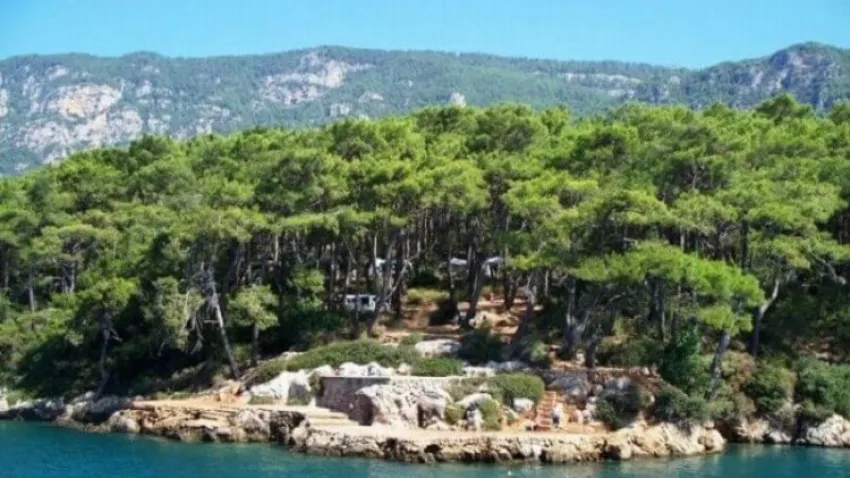 Çetibeli Orman Alanı