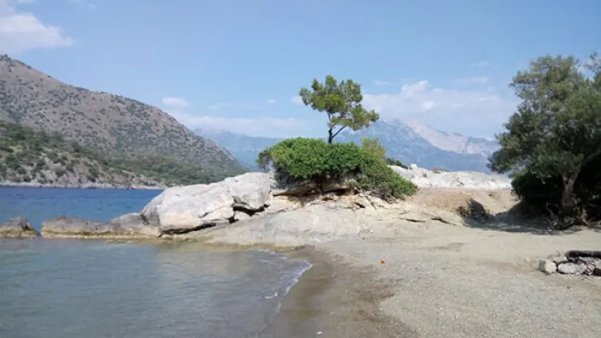Darboğaz Kamp Alanı
