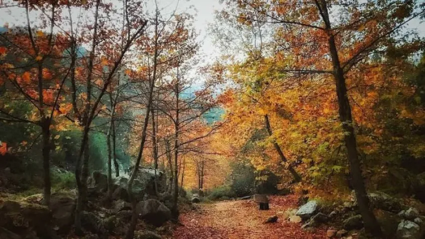 İsrafil Deresi Kamp Alanı