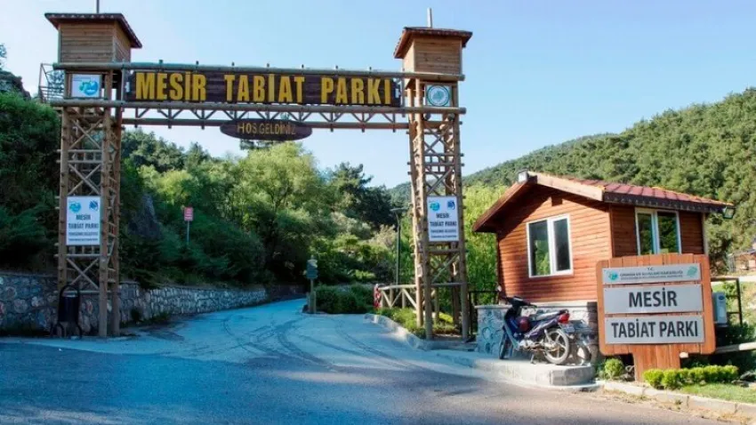 Mesir Tabiat Parkı Kamp Alanı