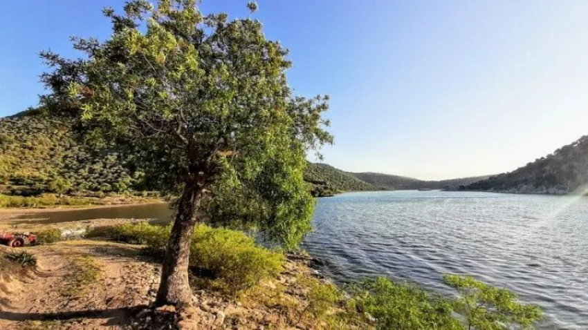 Serçin Kamp Alanı - Söke
