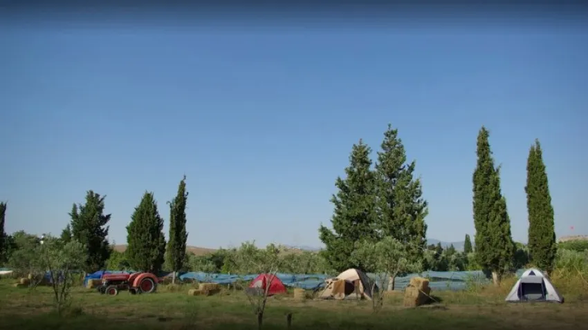 Teos Sanat Kampı, Seferihisar