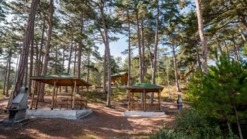 Çamlıca Tabiat Parkı Kamp Alanı