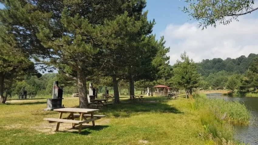 Domaniç Ebe Çamlığı Kent Ormanı Kamp Alanı