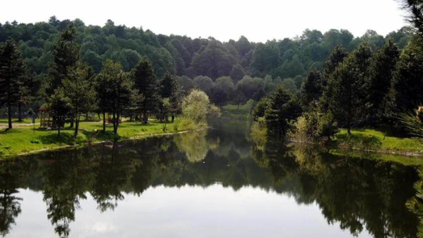 Palazoğlu Gölet Kamp Yeri