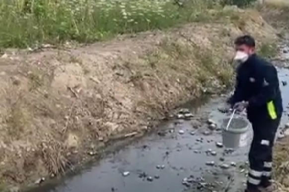 Ildırı ve Reisdere bölgelerinde ilaçlama çalışması başladı