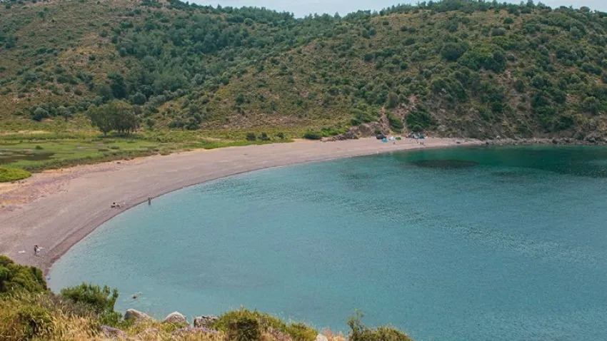 Tuzla Koyu