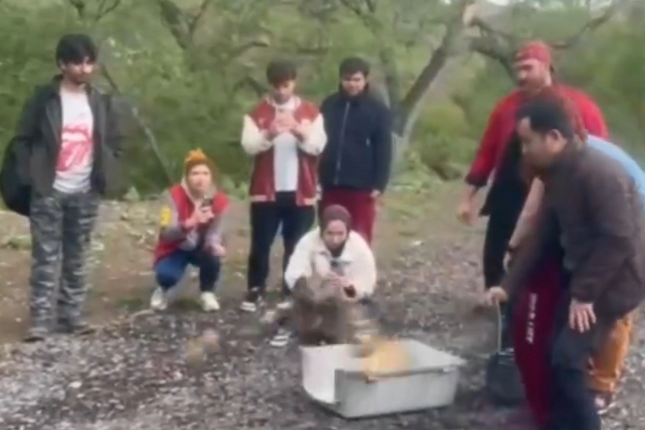 Bir yıldır veri alınamıyordu: Puhu kuşu bulundu, doğal ortamına geri bırakıldı