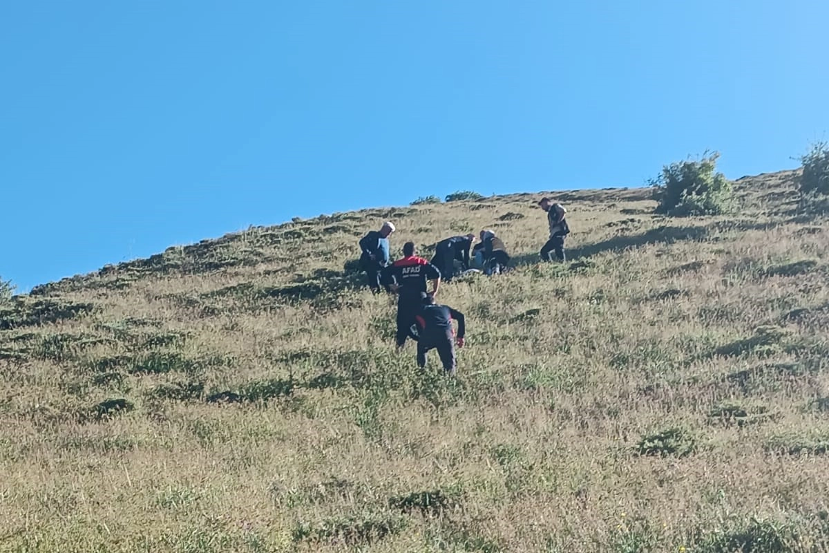 Muşta şiifalı ot toplamaya çıkmıştı, kalp krizi geçirdi haberinin görseli