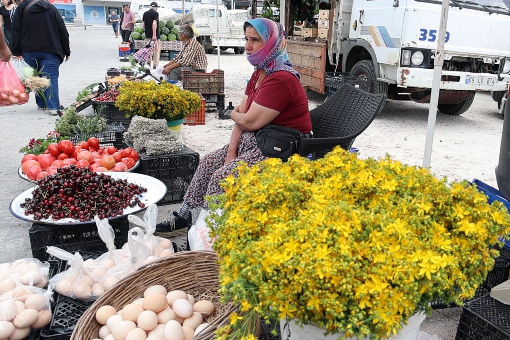 Tüm zamanların en şifalı bitkisi ‘Kantaron’ zamanı  