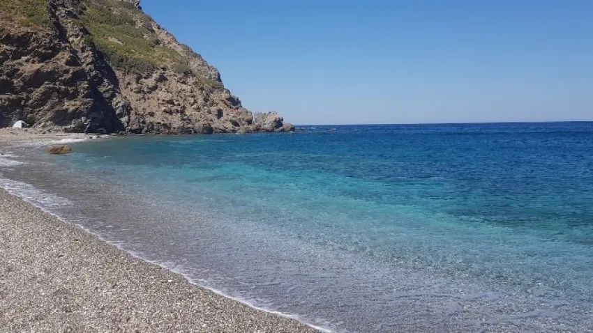 gönsüz koyuna nasıl gidilir