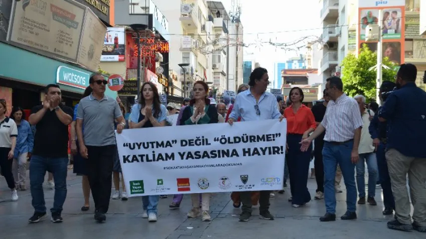 sokak hayvanları