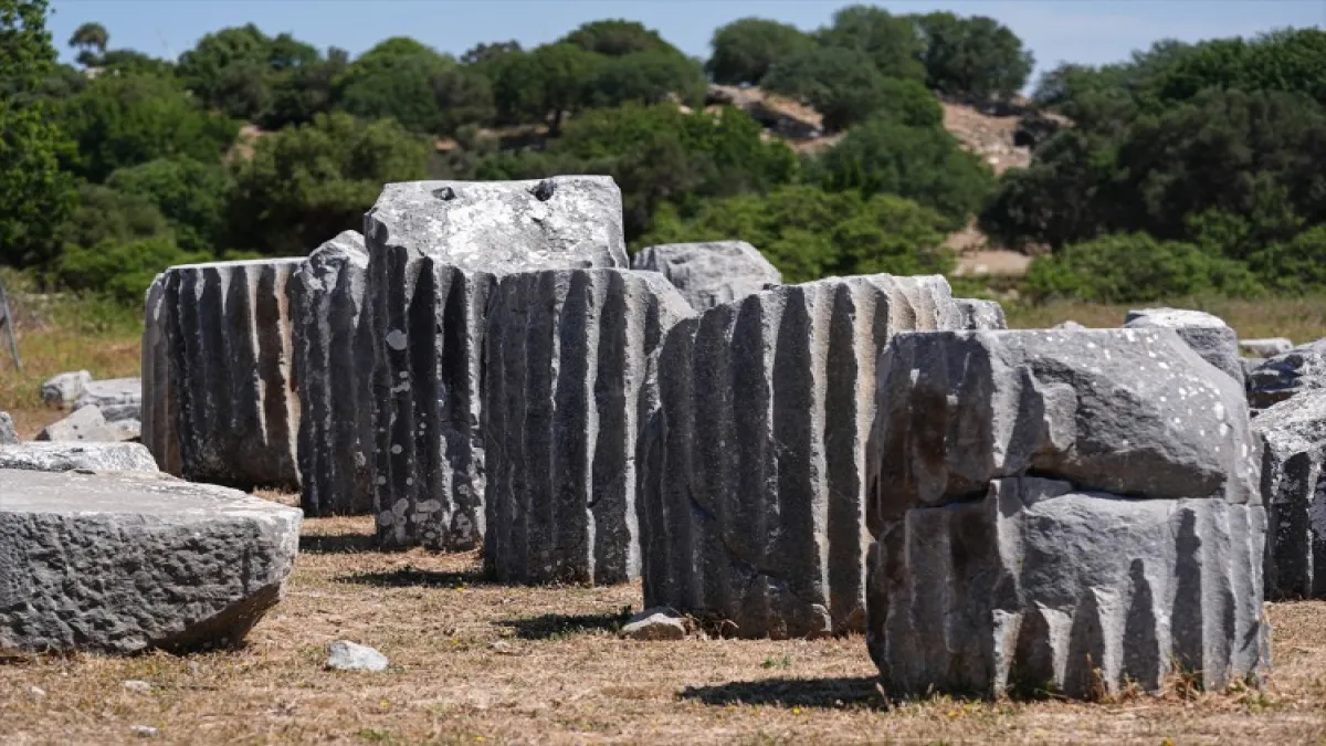 Tarihi sanatçılar kenti: Teos - 105267