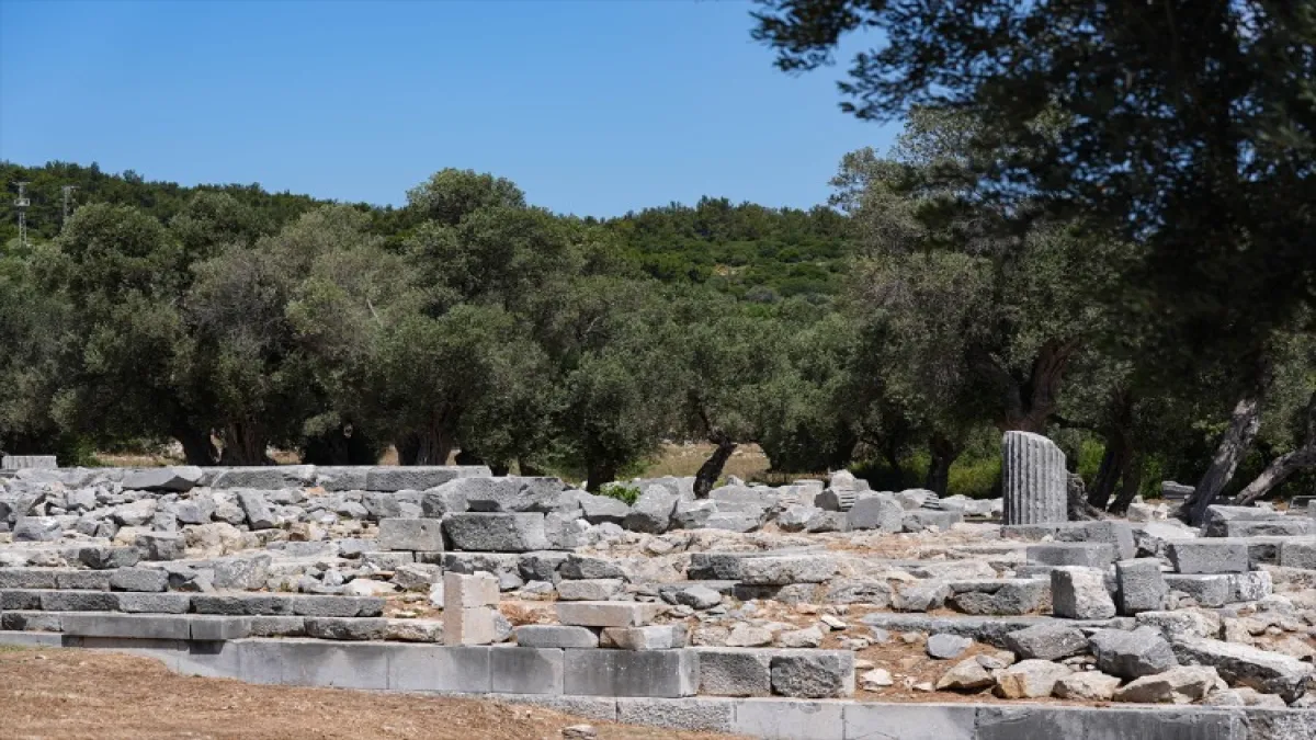 Tarihi sanatçılar kenti: Teos - 105288
