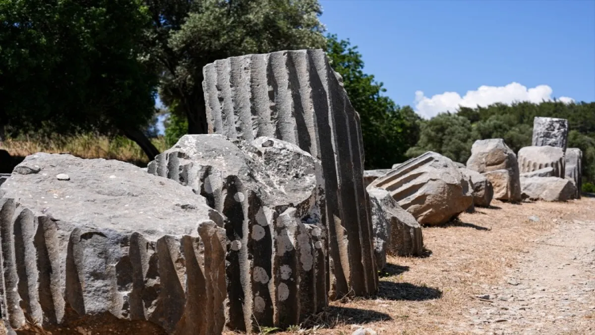 Tarihi sanatçılar kenti: Teos - 105280
