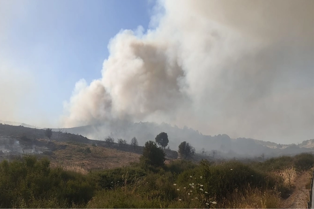 İzmir haber: Foça'da korkutan yangın!