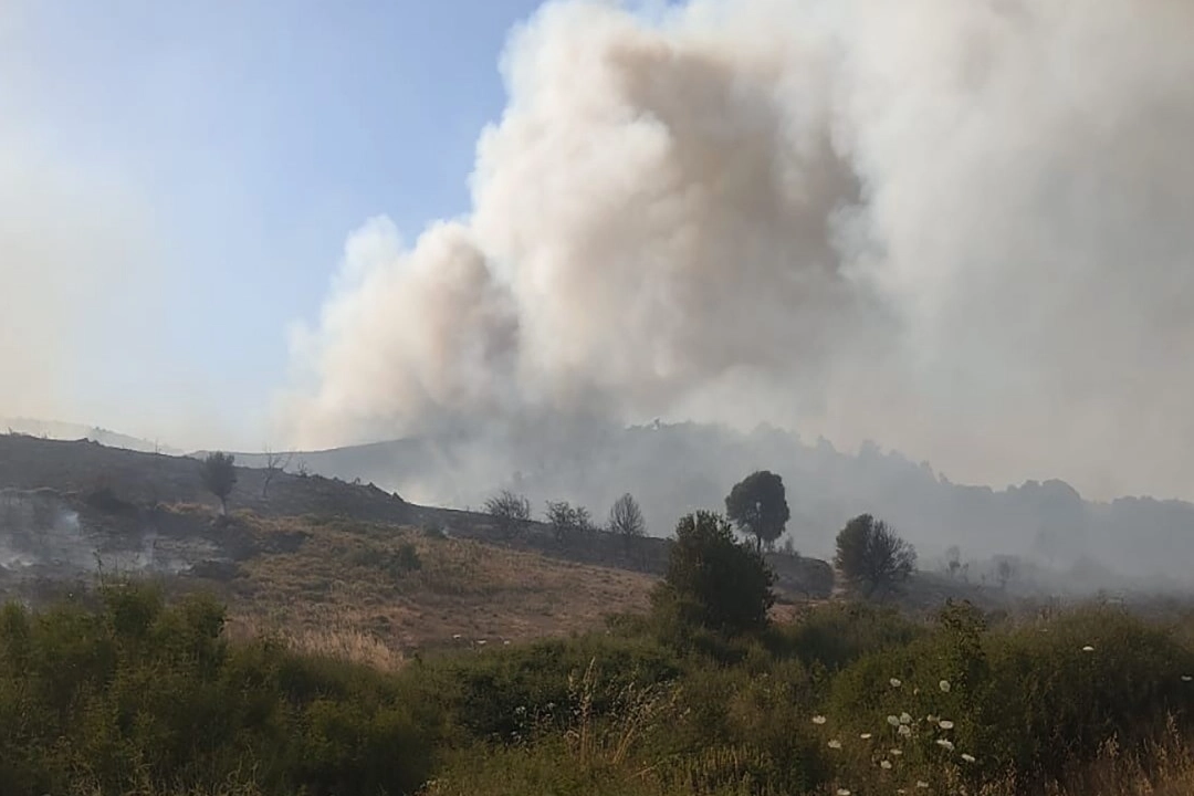 İzmir haber: Foça’daki yangın ile ilgili 2 kişi yakalandı