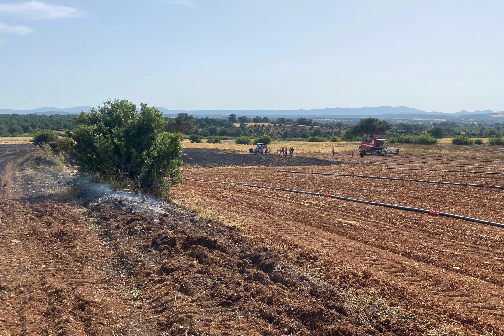 Çanakkale’de orman yangını: Ziraat alanında dumanlar yükseldi