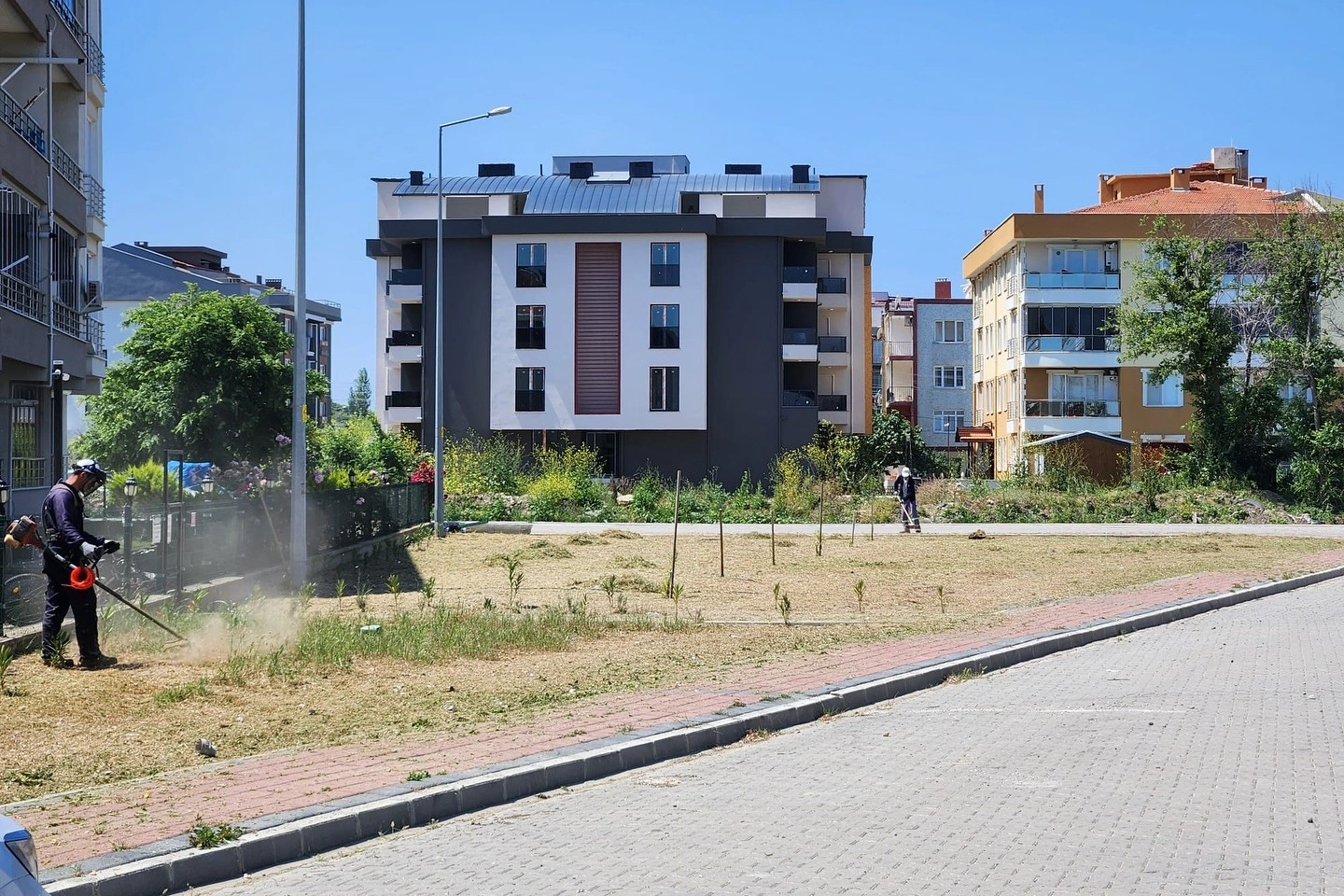 Çanakkale’de yabani otlar temizleniyor 