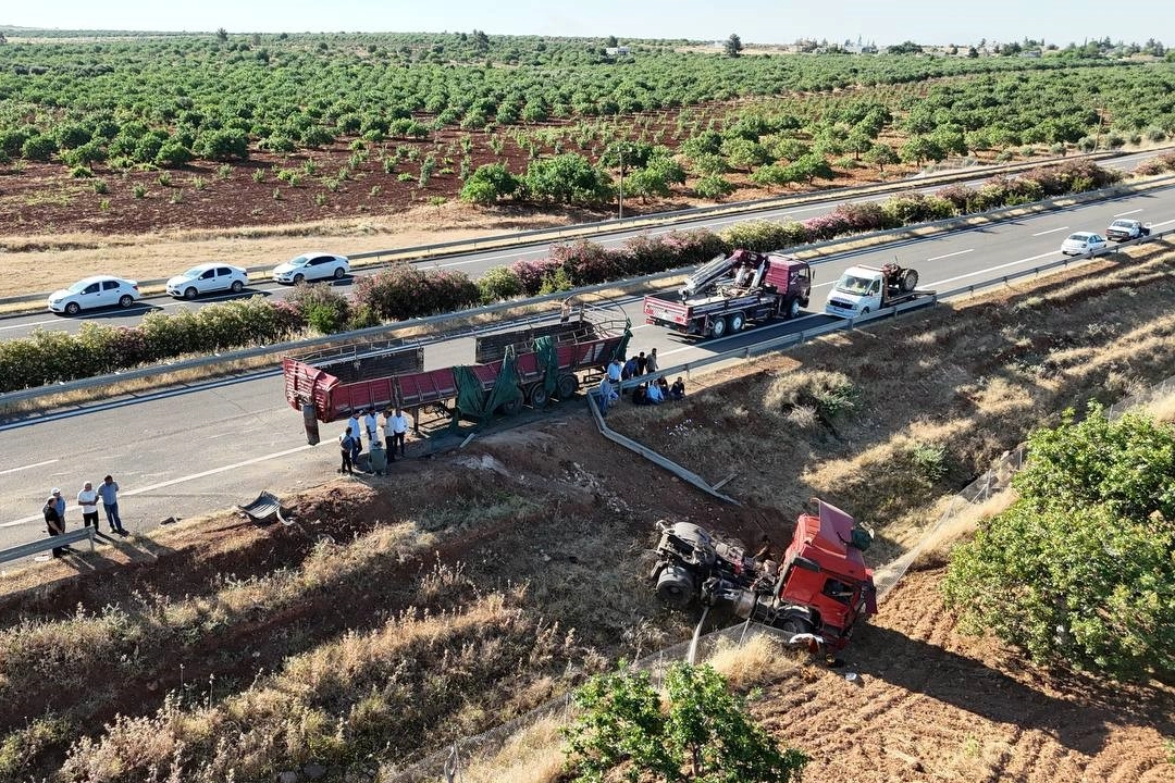 Kurbanlık boğaları taşıyan tır kaza yaptı: Kurbanlıklara araziye dağıldı haberinin görseli