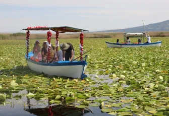 Nilüferlerle kaplı Işıklı Gölü göz kamaştırıyor galerisinin önkapak görseli
