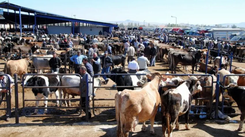 afyon kurban kesim yerleri